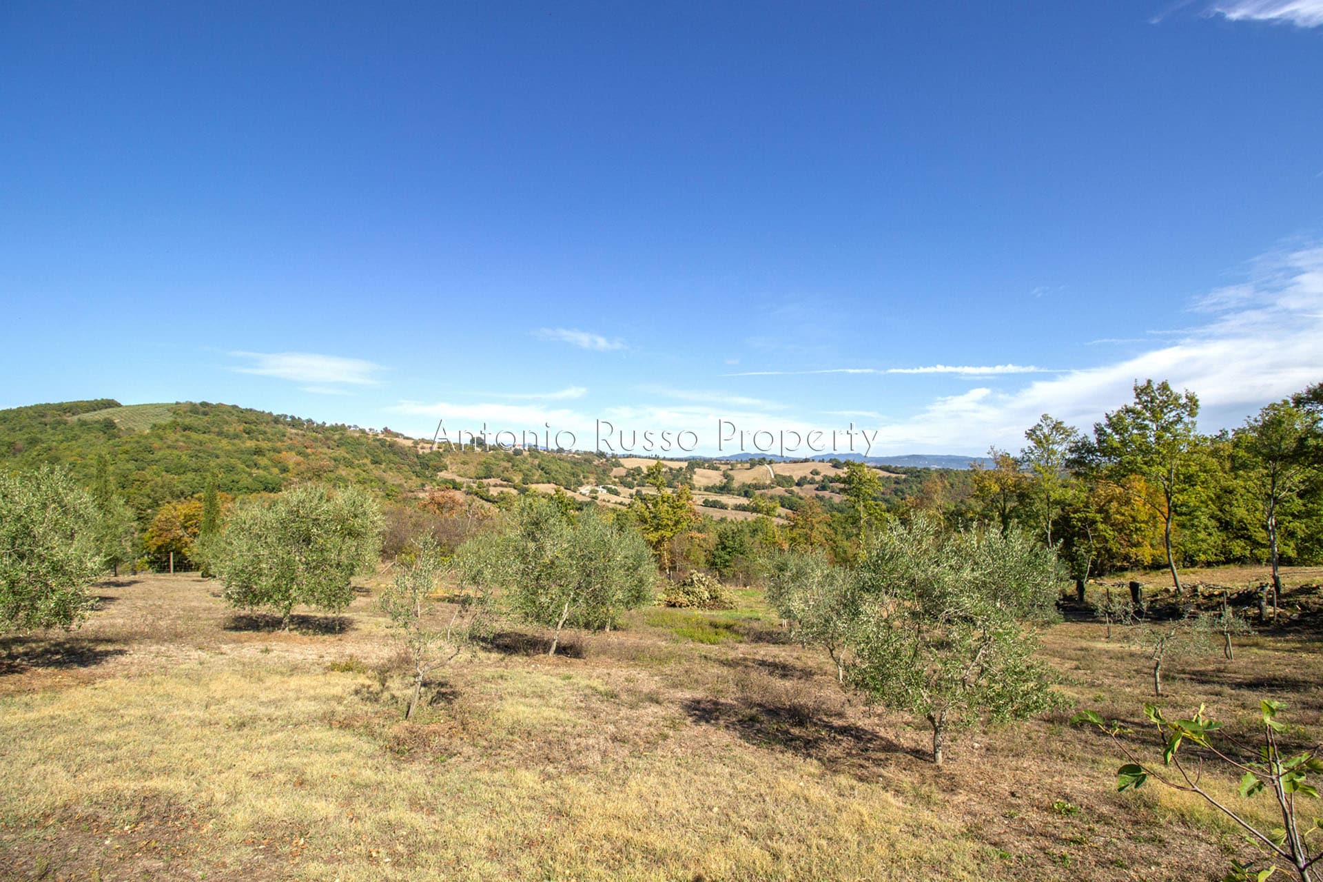 Casale in vendita a Scansano