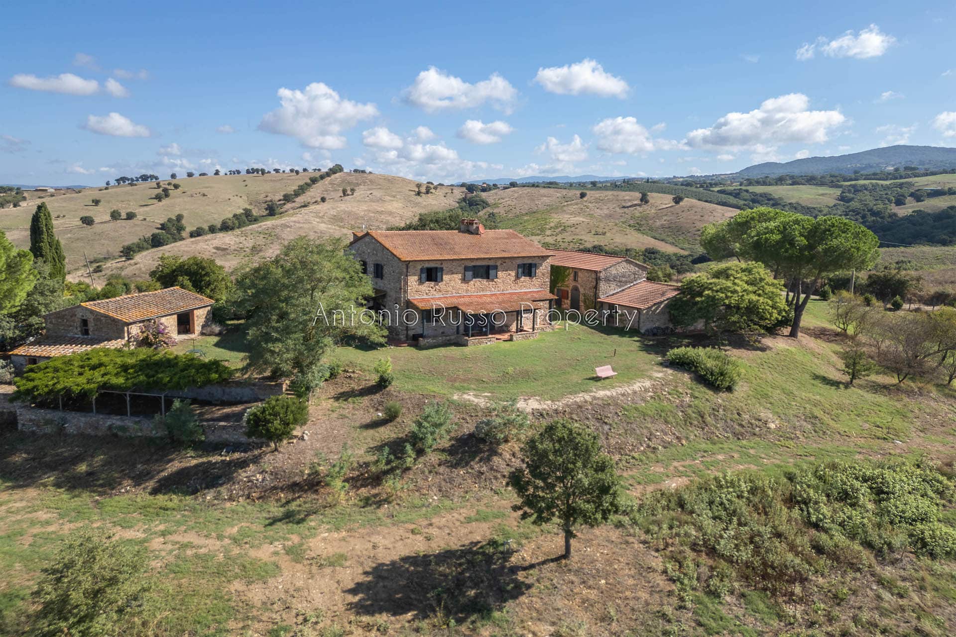 Casale azienda agricola in vendita a Scansano