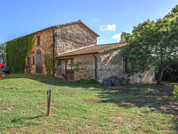 Casale azienda agricola in vendita a Scansano