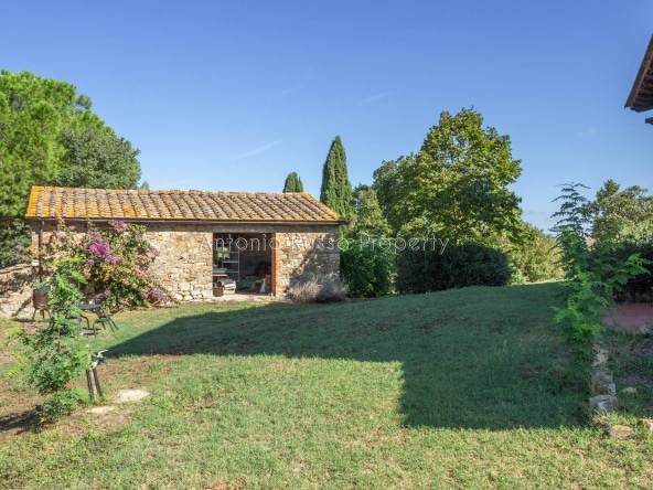 Casale azienda agricola in vendita a Scansano