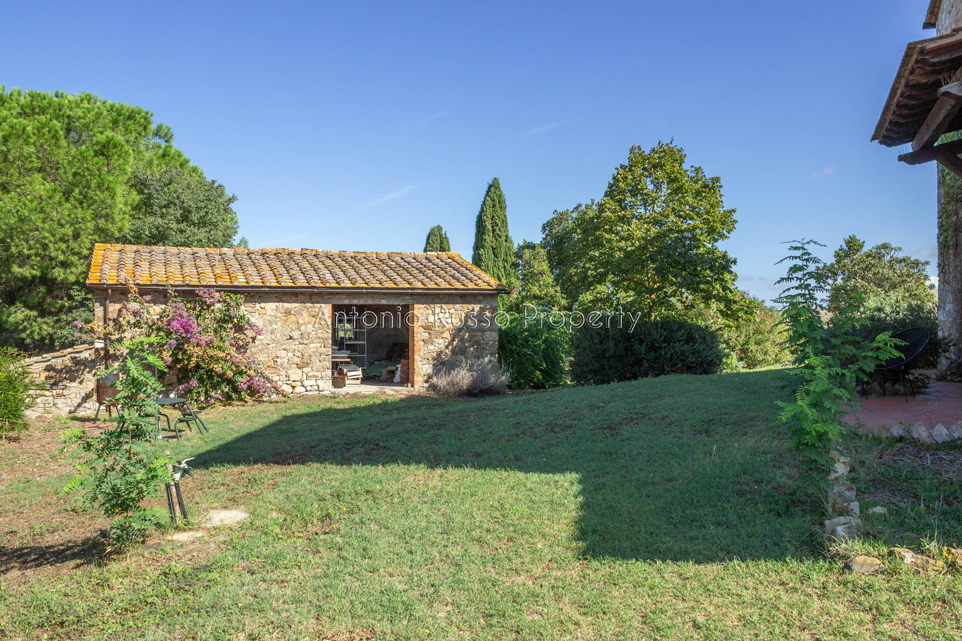 Casale azienda agricola in vendita a Scansano