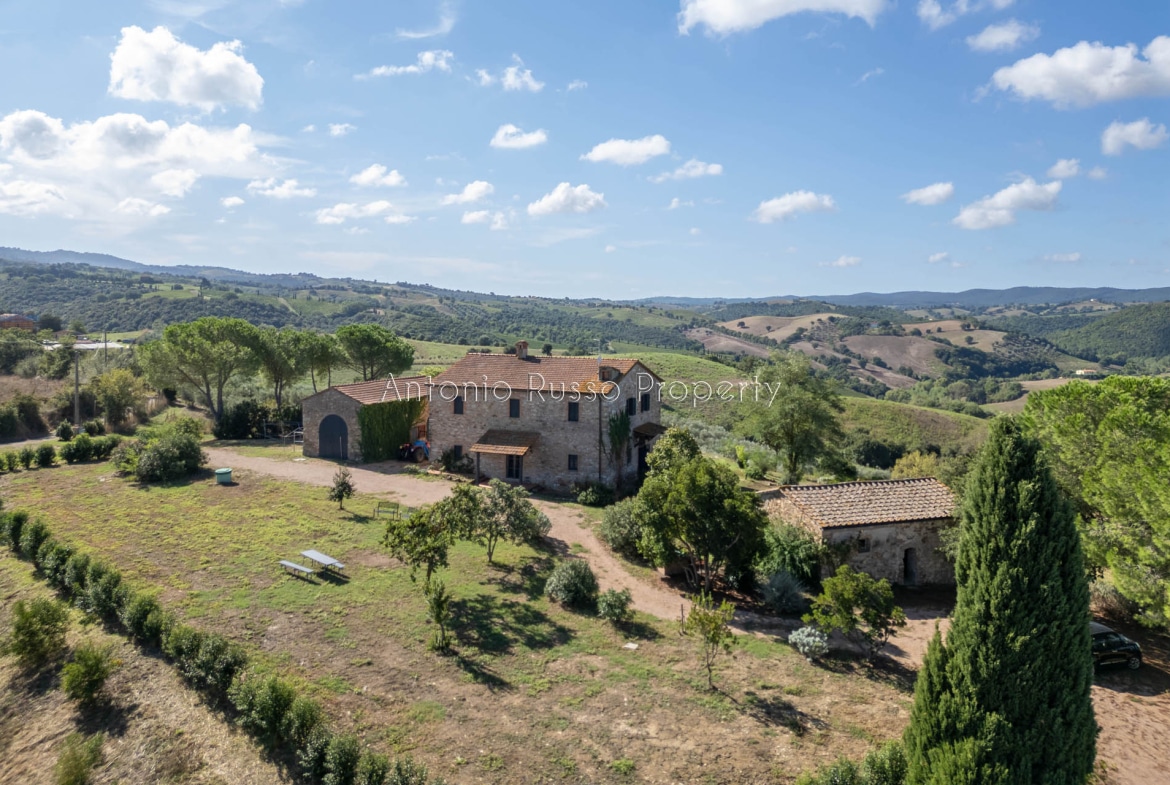 Casale azienda agricola in vendita a Scansano