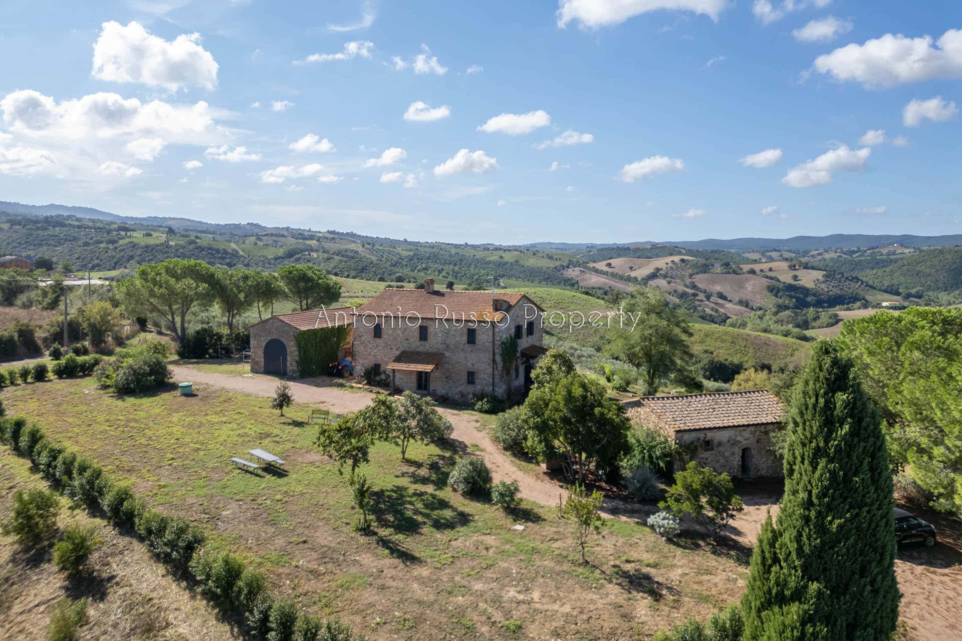 Casale azienda agricola in vendita a Scansano