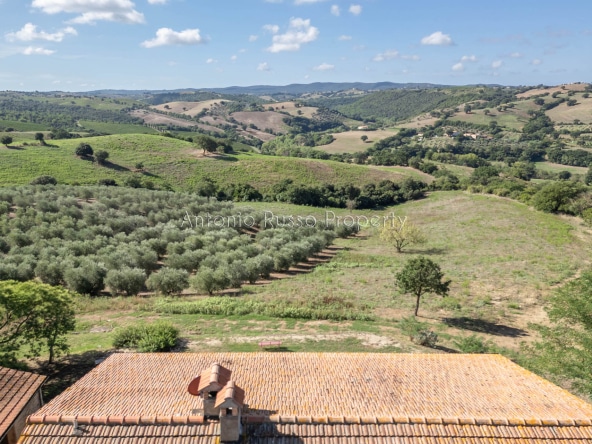 Casale azienda agricola in vendita a Scansano