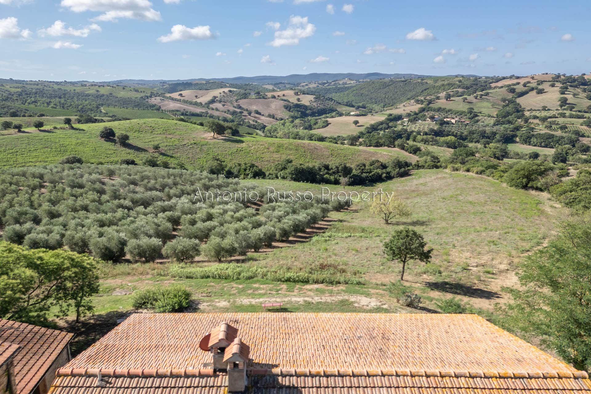 Casale azienda agricola in vendita a Scansano