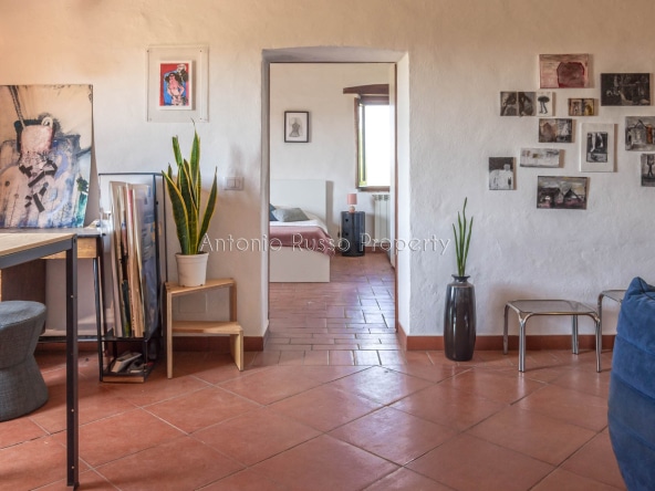 Casale azienda agricola in vendita a Scansano