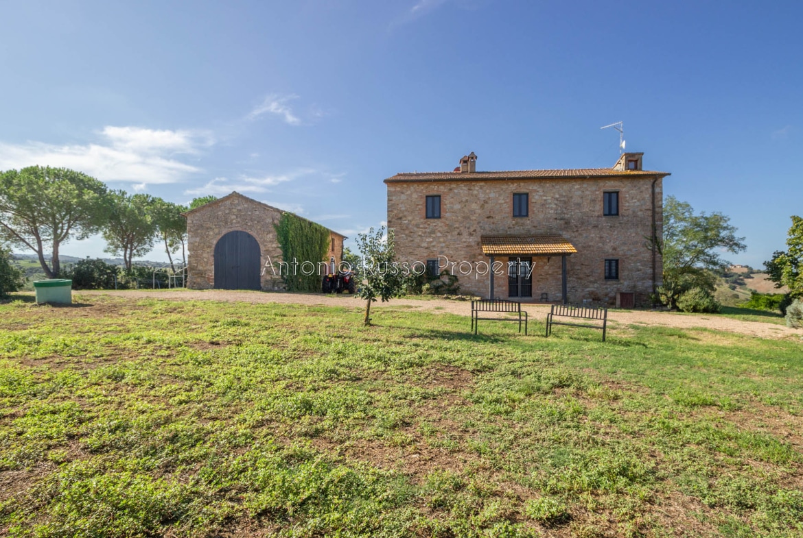 Casale azienda agricola in vendita a Scansano
