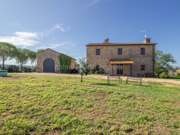 Casale azienda agricola in vendita a Scansano