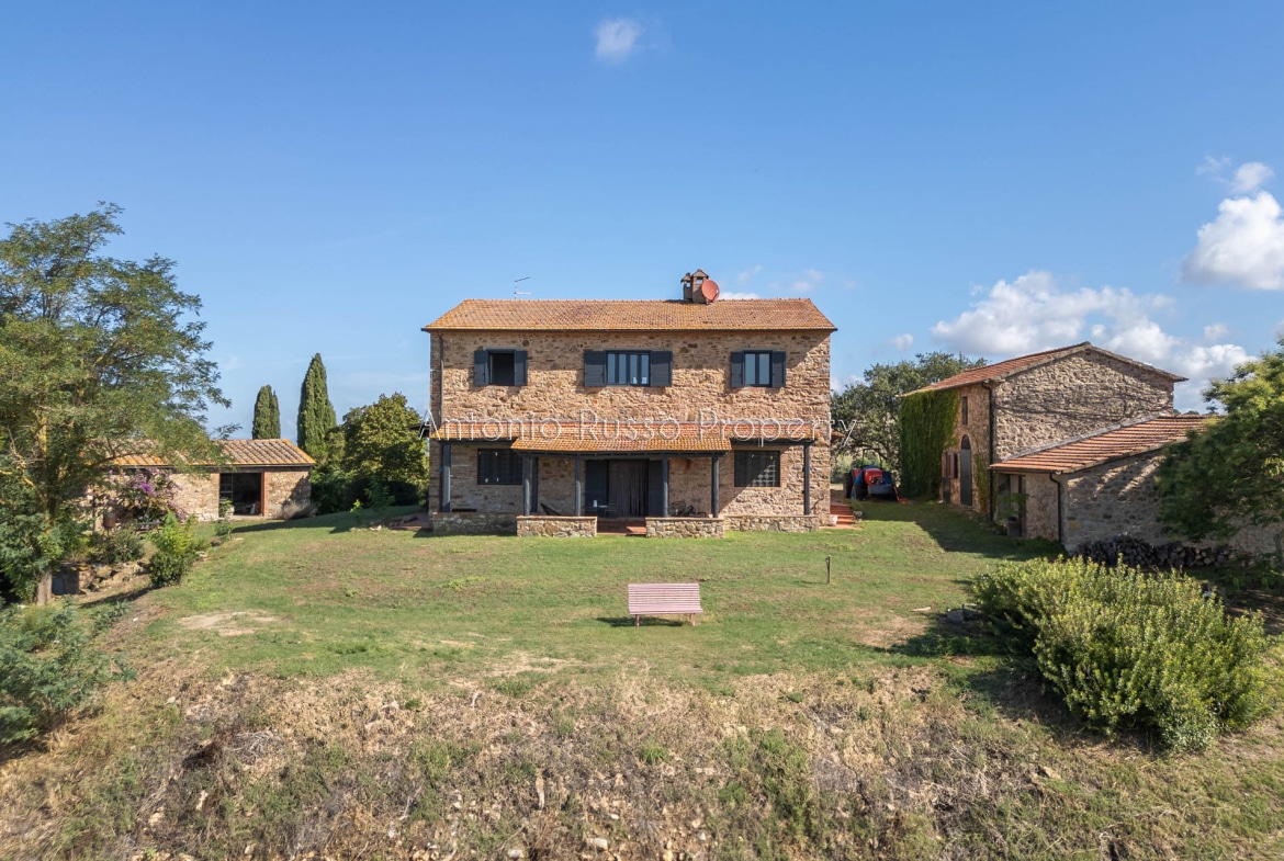 Casale azienda agricola in vendita a Scansano
