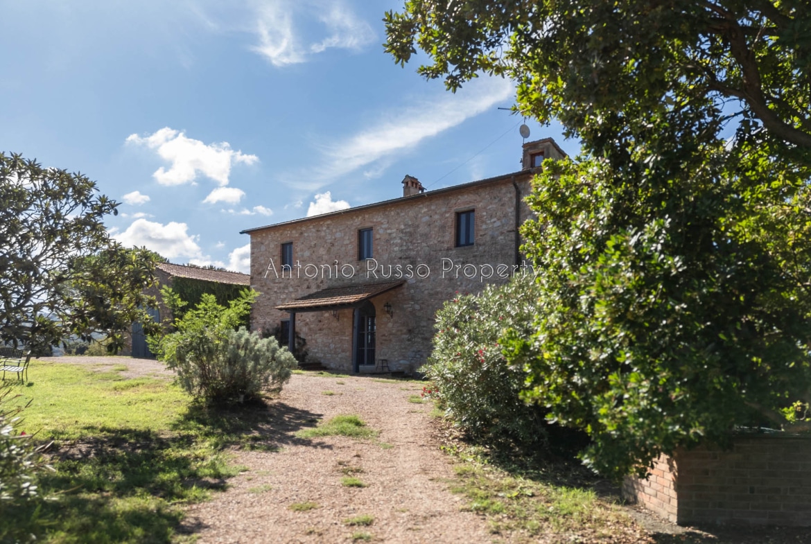 Casale azienda agricola in vendita a Scansano