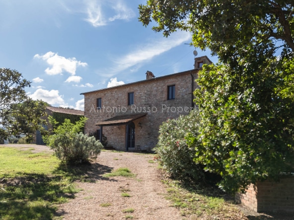 Casale azienda agricola in vendita a Scansano