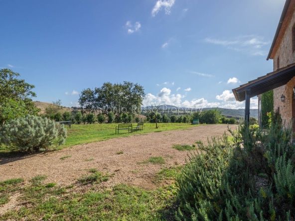 Casale azienda agricola in vendita a Scansano