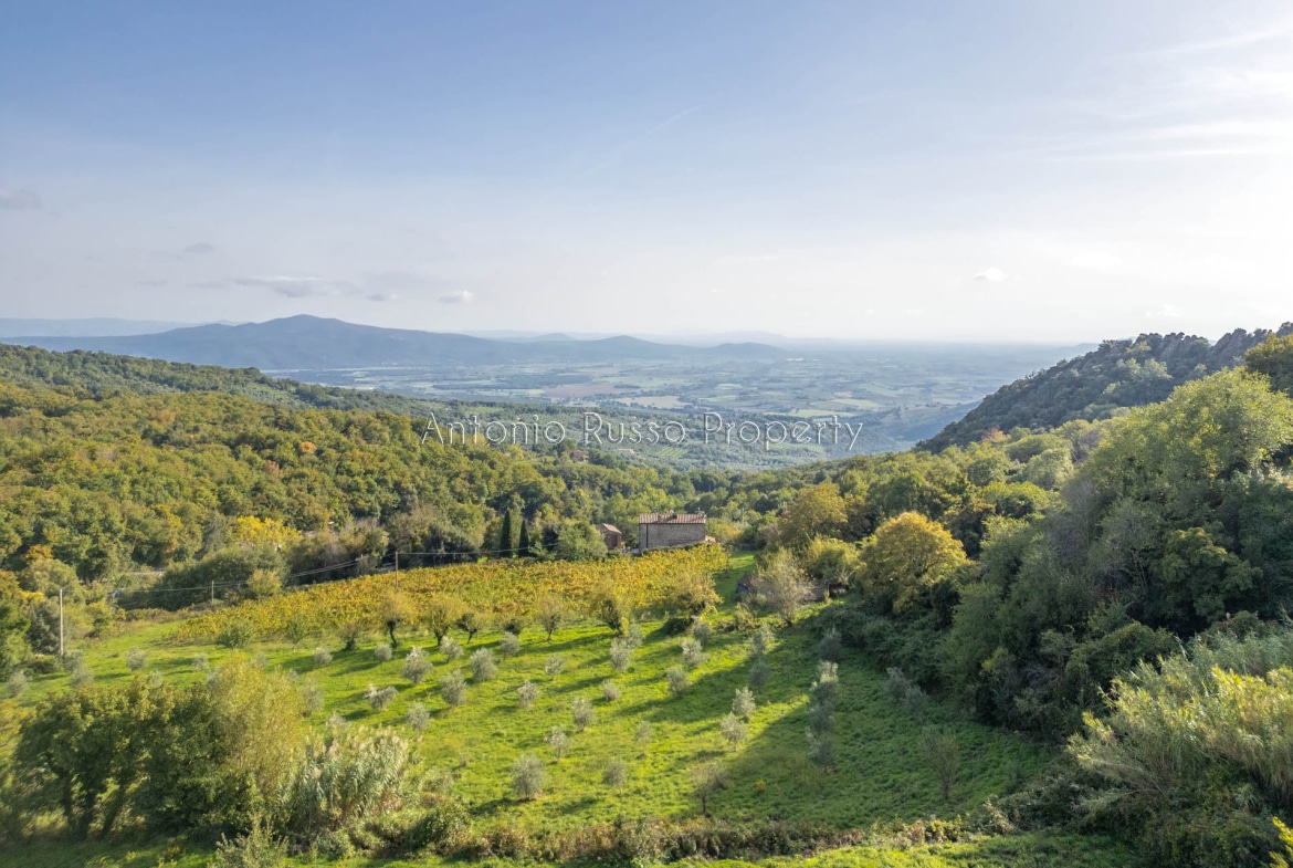 Struttura Ricettiva in vendita in Maremma Toscana