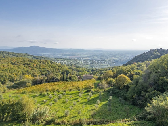 Struttura Ricettiva in vendita in Maremma Toscana
