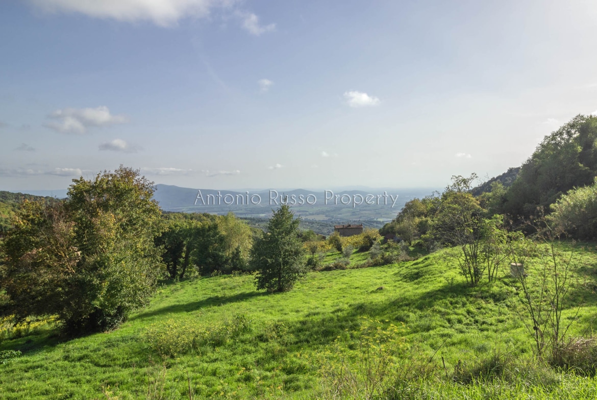 Struttura Ricettiva in vendita in Maremma Toscana
