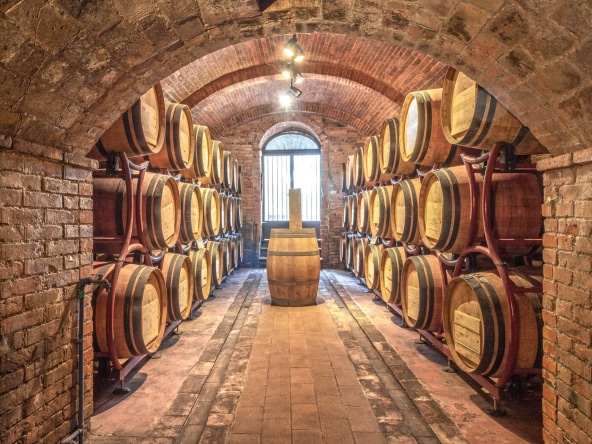 Azienda vitivinicola Montepulciano in vendita