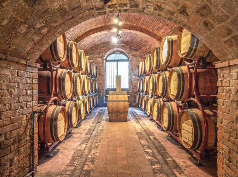 Azienda vitivinicola Montepulciano in vendita