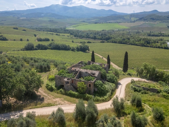 Vigneto di Brunello di Montalcino con rudere in vendita
