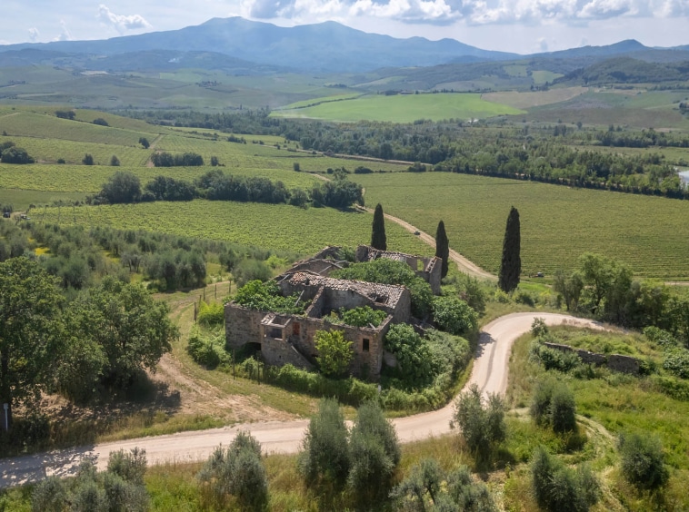 Vigneto di Brunello di Montalcino con rudere in vendita