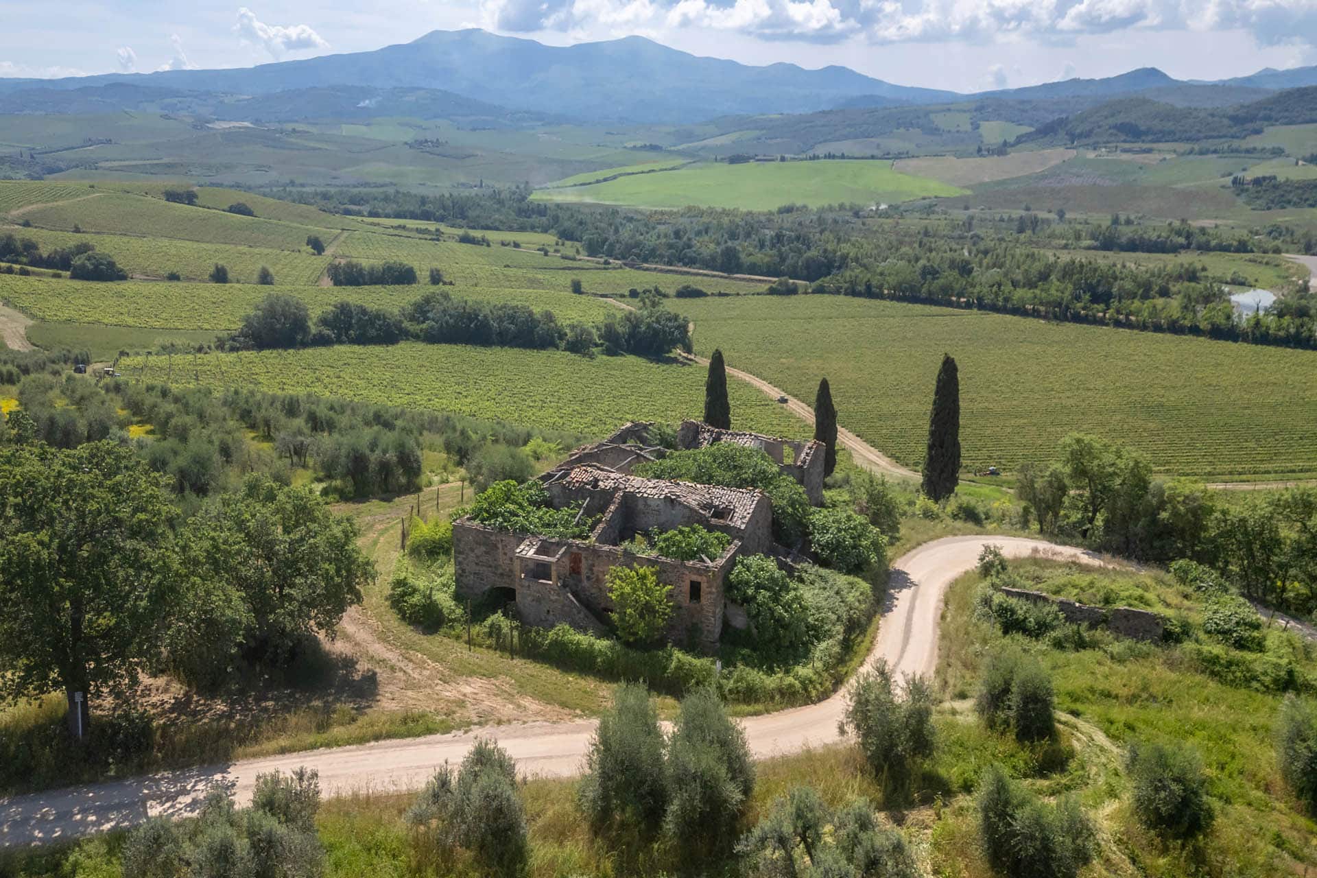 Vigneto di Brunello di Montalcino con rudere in vendita