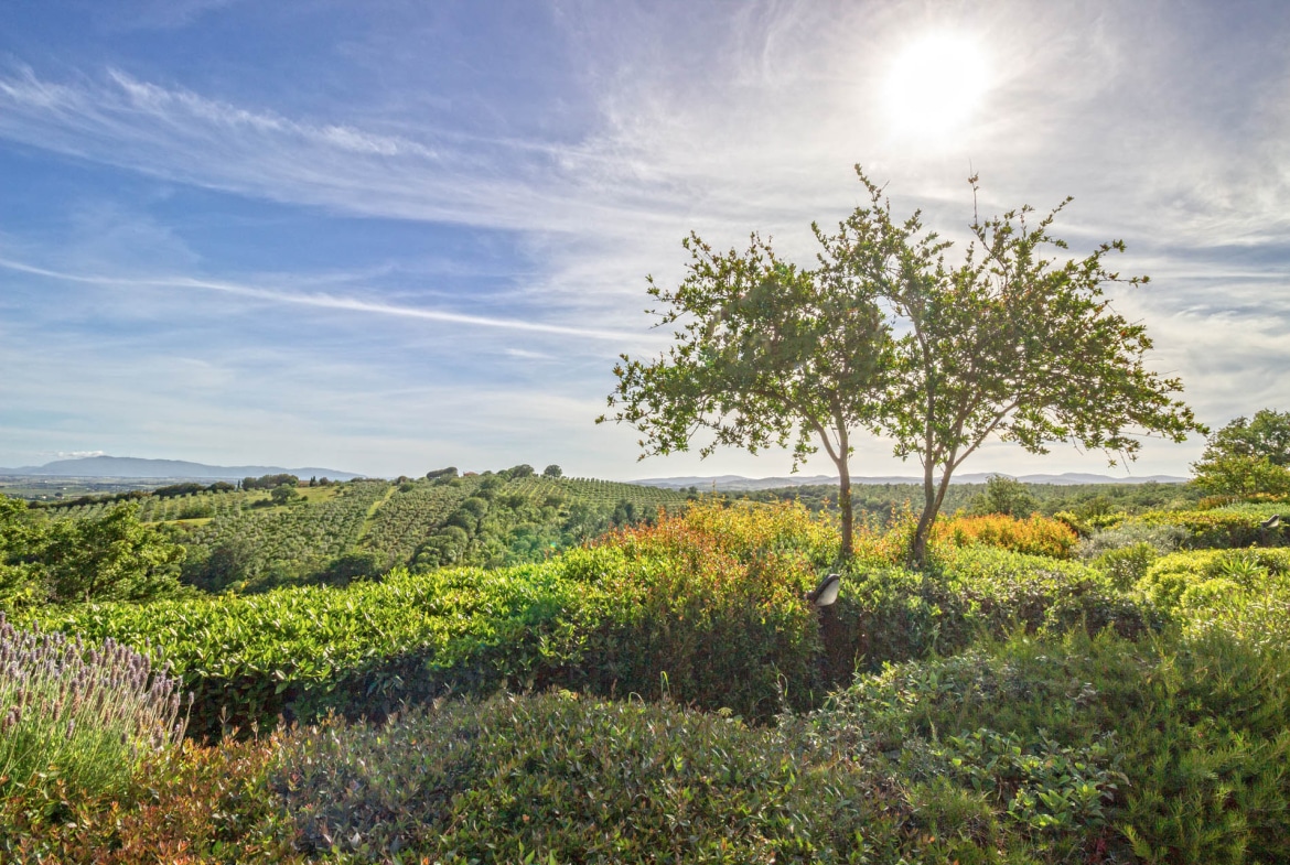 Villa in vendita a Magliano in Toscana