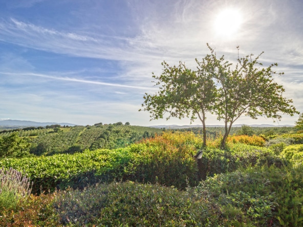Villa in vendita a Magliano in Toscana