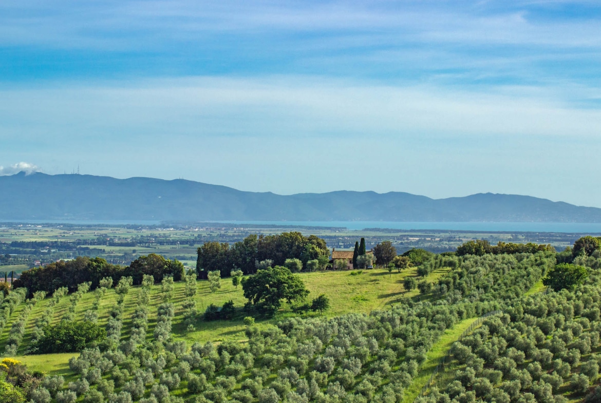 Villa in vendita a Magliano in Toscana