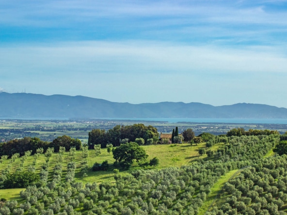Villa in vendita a Magliano in Toscana