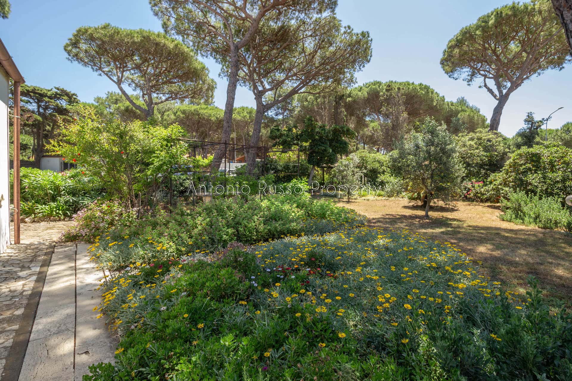 Villa Pieds dans l'eau (23)