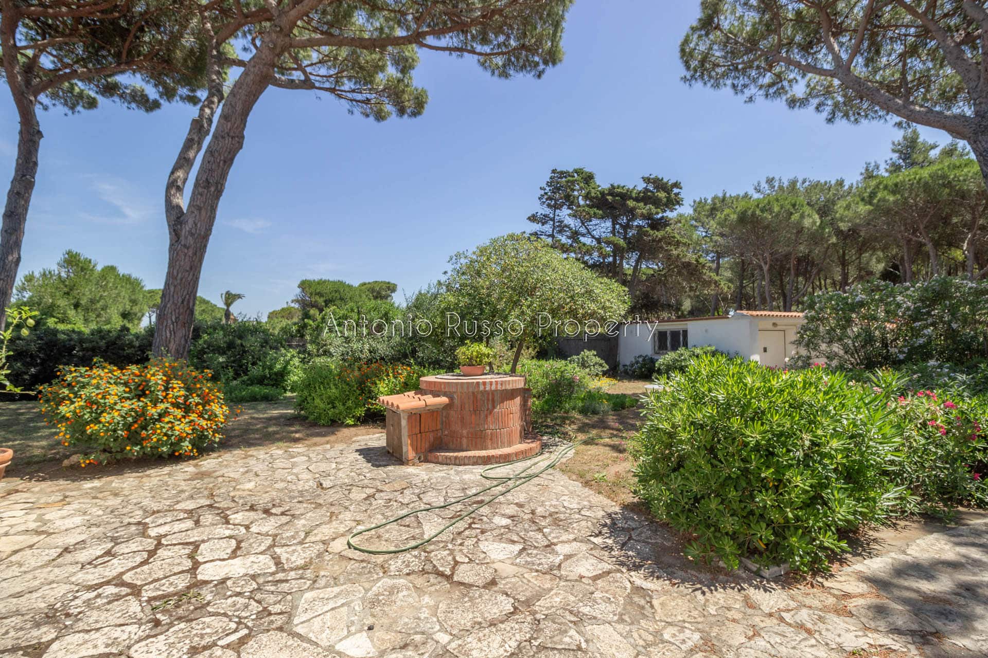 Villa Pieds dans l'eau (38)