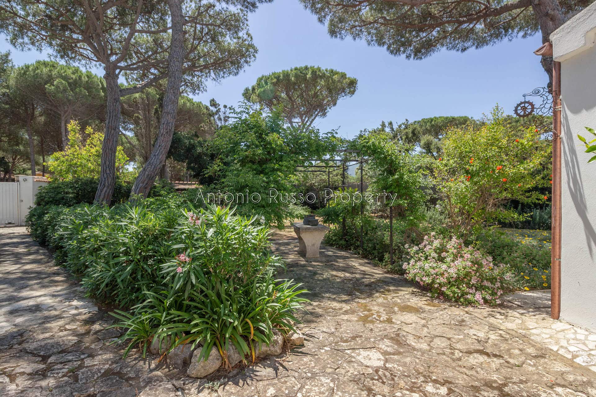 Villa Pieds dans l'eau (39)