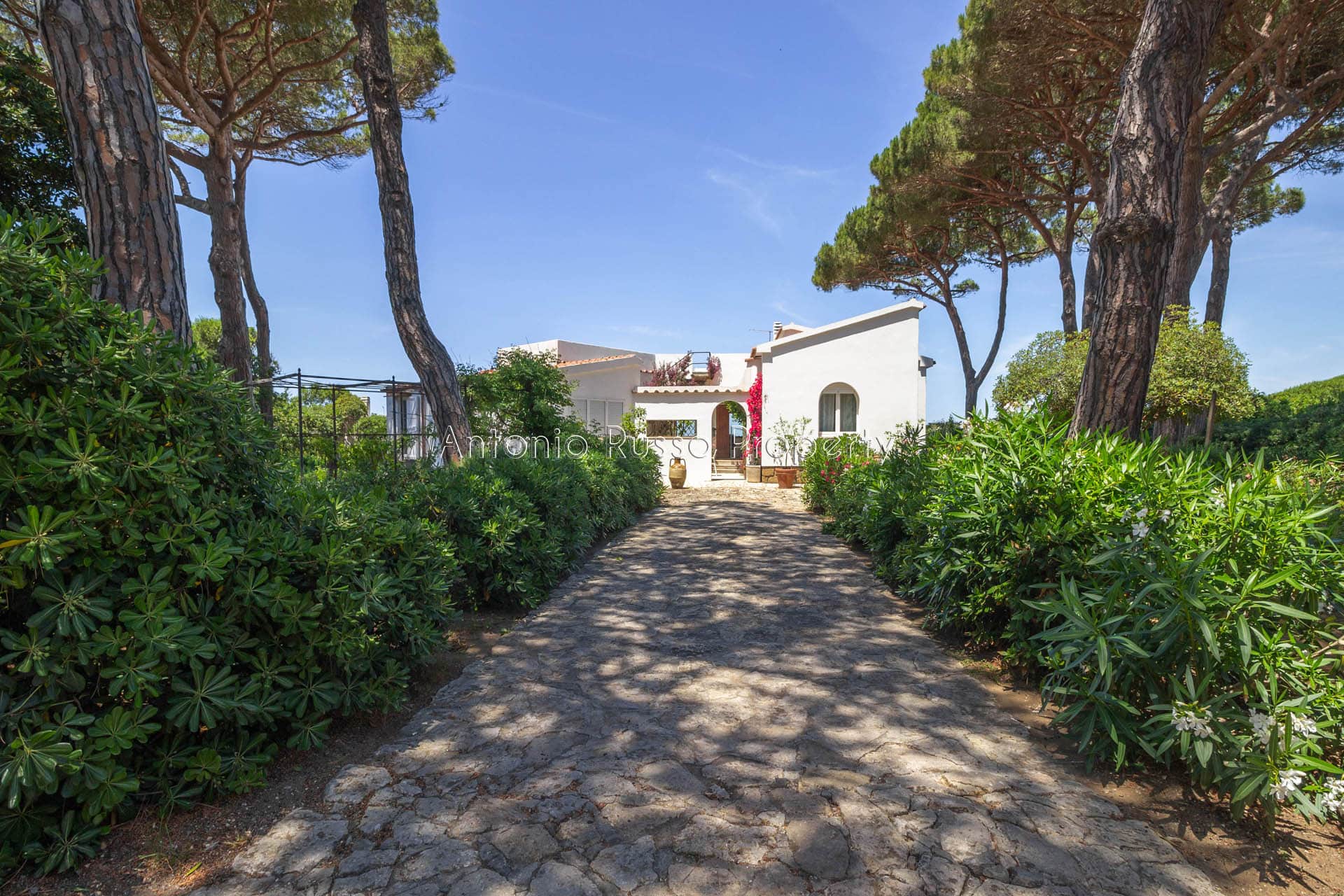 Villa Pieds dans l'eau (40)