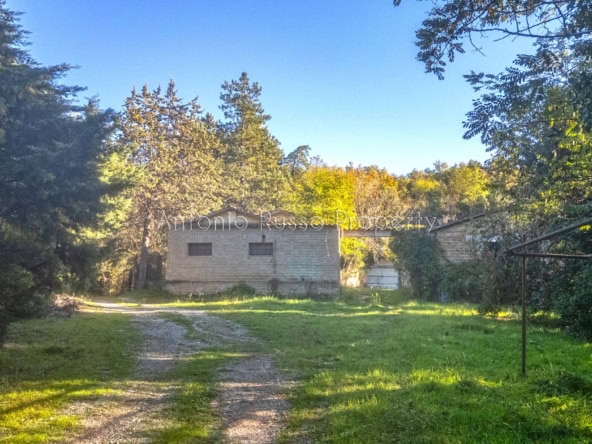 riserva di caccia in vendita Maremma Toscana
