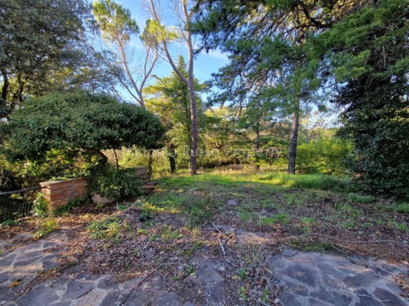 riserva di caccia in vendita Maremma Toscana