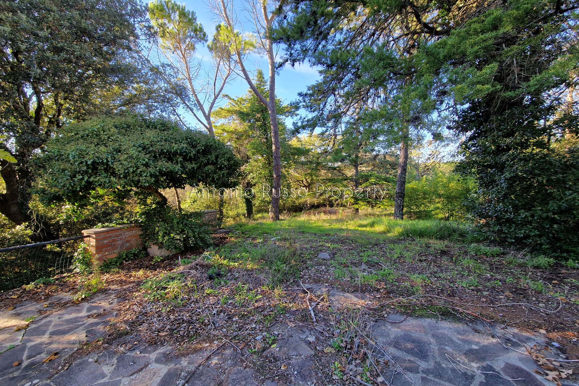 riserva di caccia in vendita Maremma Toscana