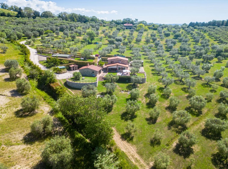 Farmhouse with truffle grounds for sale in Scansano