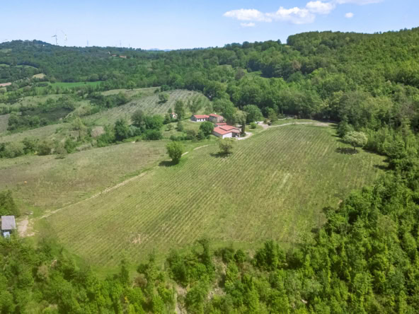 Azienda vinicola in vendita in Toscana