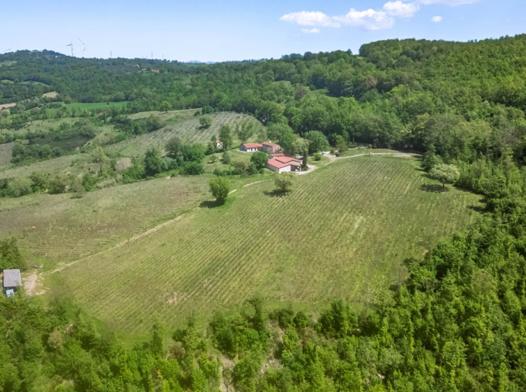 Winery for sale in Tuscany