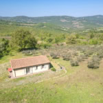 Casa indipendente con uliveto e vigneto in Maremma