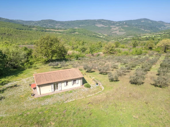 Casa indipendente con vigneto e uliveto
