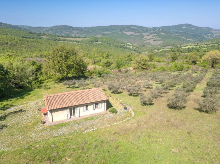 Detached house with a vineyard and olive grove